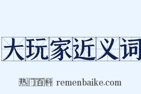 大玩家近义词是什么意思的图片